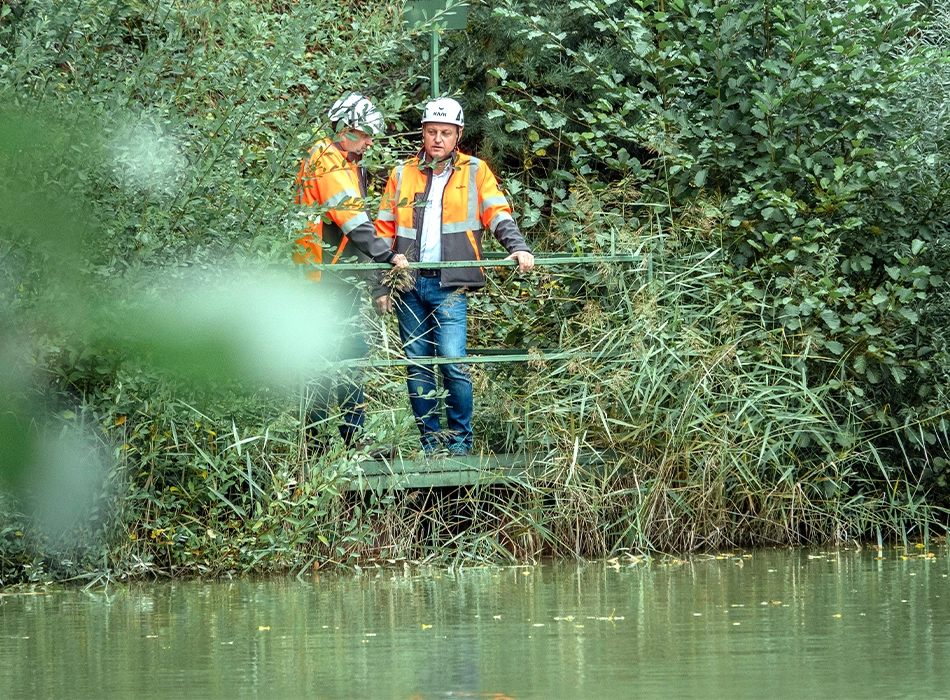 Die wienerberger Biodiversity Ambassadors setzen sich an den Produktionsstandorten für die Zukunft aller Lebewesen ein (Foto)